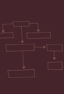 organisationsentwicklung